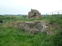 Ruardyn Castle